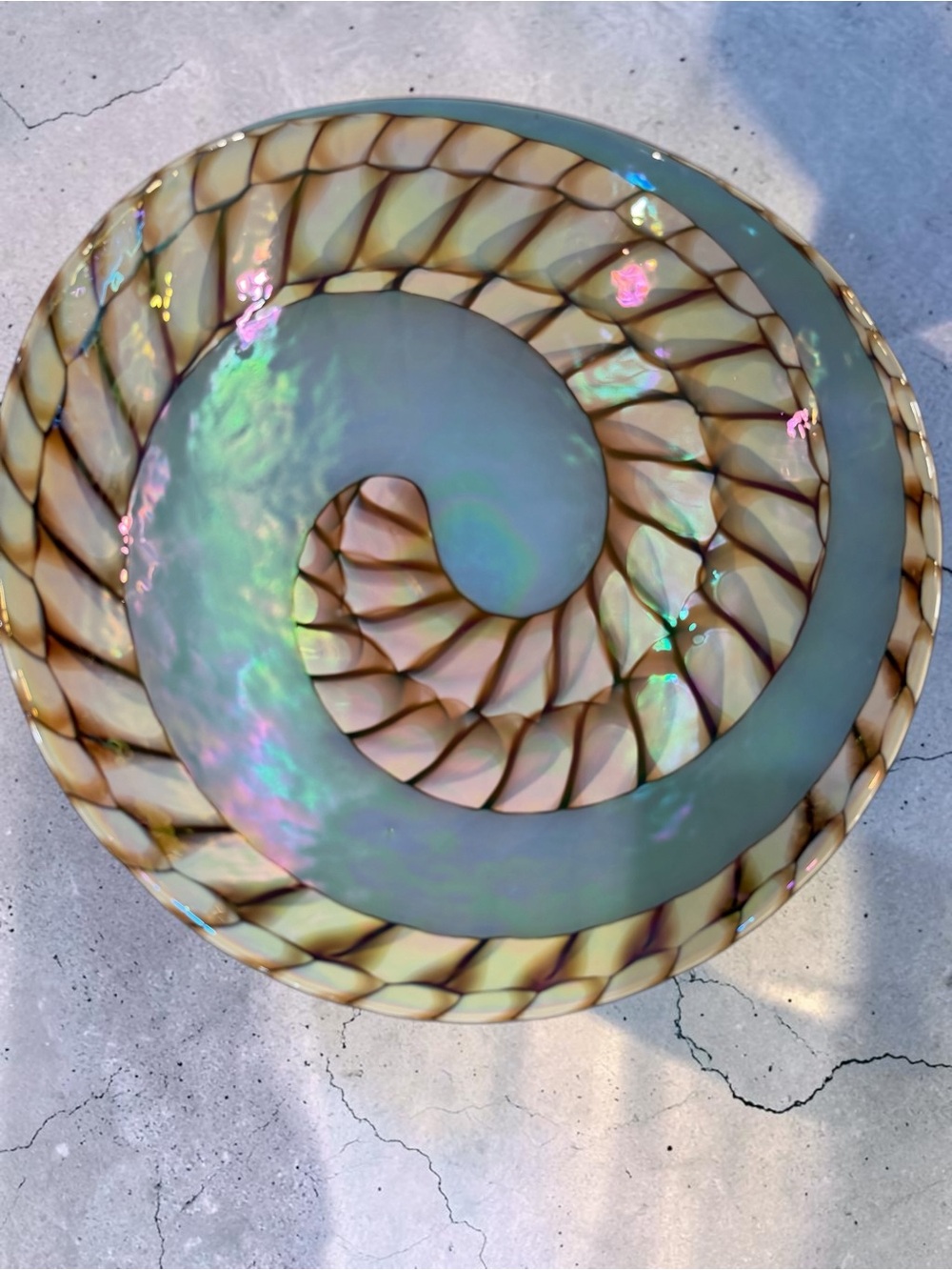 Yalos Murano Fornace Ferro Tuareg Iridescent Nautilus Shell Glass Bowl 20”